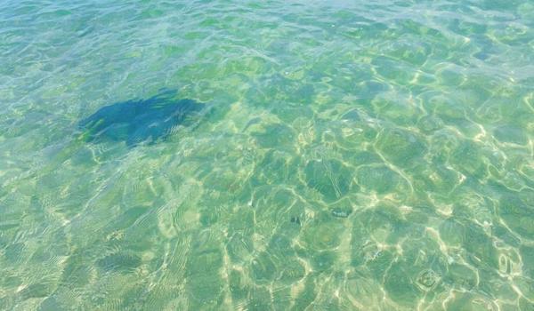 三角洲行动的修改器怎么使用(给我一个三角洲行动修改器的下载链接) 三角洲行动的修改器怎么使用(给我一个三角洲行动修改器的下载链接)