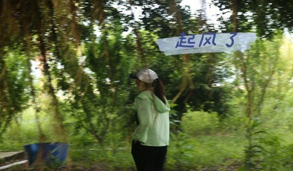 三角洲有官方软件吗(三角洲官方软件叫什么名?) 三角洲有官方软件吗(三角洲官方软件叫什么名?)